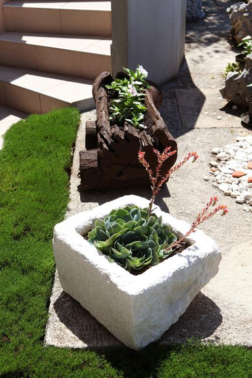 Apartment Matic روغوزنيكا المظهر الخارجي الصورة