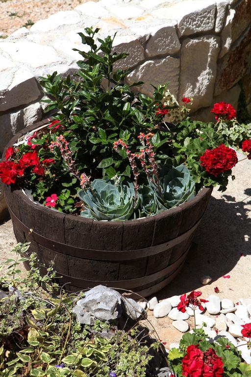 Apartment Matic روغوزنيكا المظهر الخارجي الصورة
